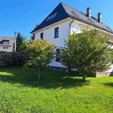 Ferienwohnungen Reiterhof Lienemann Grünbach Dış mekan fotoğraf