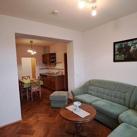 Ferienwohnungen Reiterhof Lienemann Grünbach Dış mekan fotoğraf