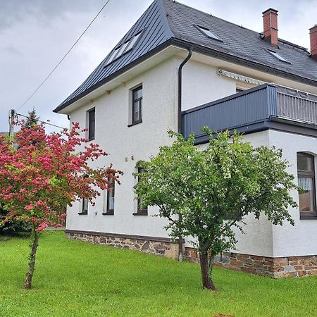 Ferienwohnungen Reiterhof Lienemann Grünbach Dış mekan fotoğraf